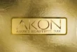 Akon – Akon’s Beautiful Day