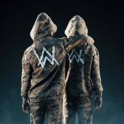 Alan Walker & Sasha Alex Sloan