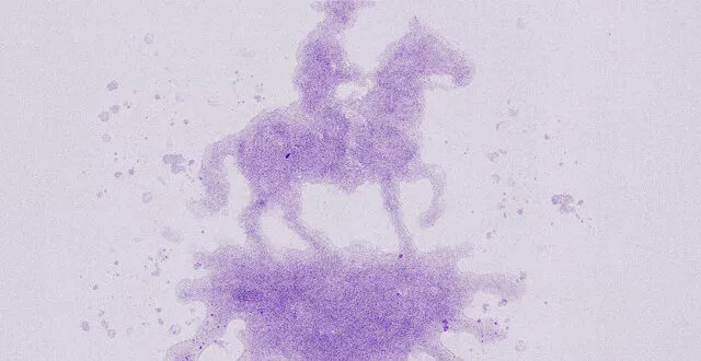 Babyface Ray - Codeine Cowboy