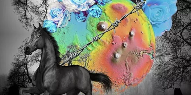 Destroy Lonely - Darkhorse