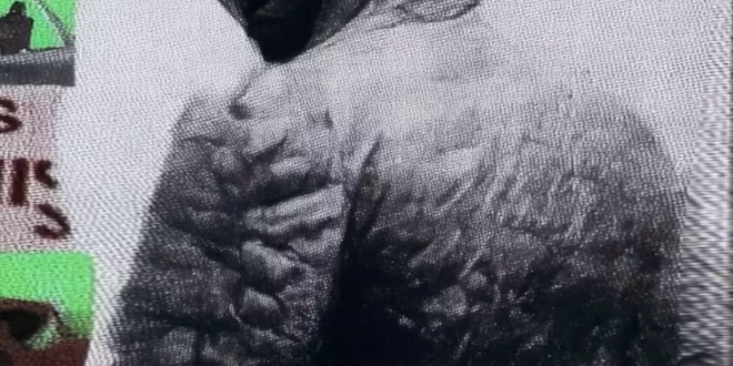 Draft Day - FIRST ROUND [E]