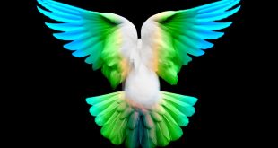 Gorgon City - Escape