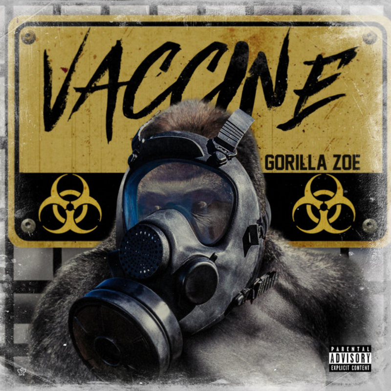 Gorilla Zoe - VACCINE