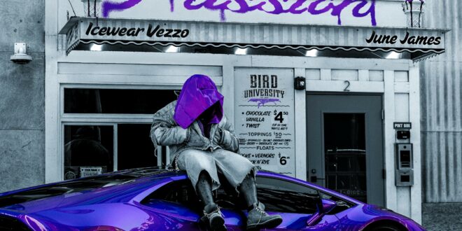 Icewear Vezzo – Purple Passion [E]