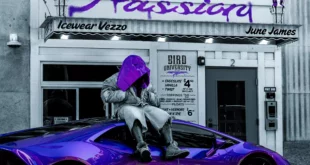 Icewear Vezzo - Purple Passion [E]