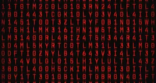 Lil Baby - Real Shit