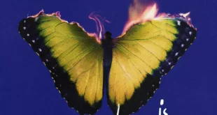 Maroon 5 - Love Is Like (Deluxe)