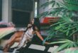 Queen Naija – 30. [E]