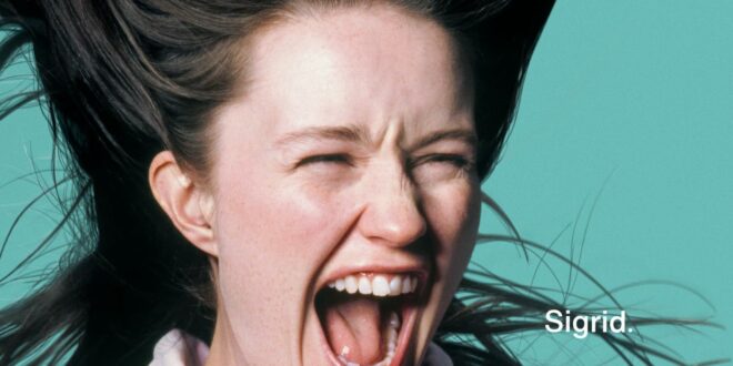 Sigrid - Theres Always More That I Could Say [E]