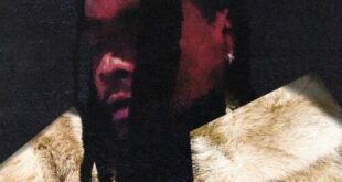 Wale - Everything Is A Lot