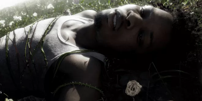 d4vd - Withered (2025)